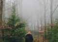 Alone Season 8, Everything You Need to Know
