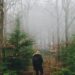 Alone Season 8, Everything You Need to Know