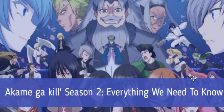 Akame ga kill' Season 2: Everything We Need To Know