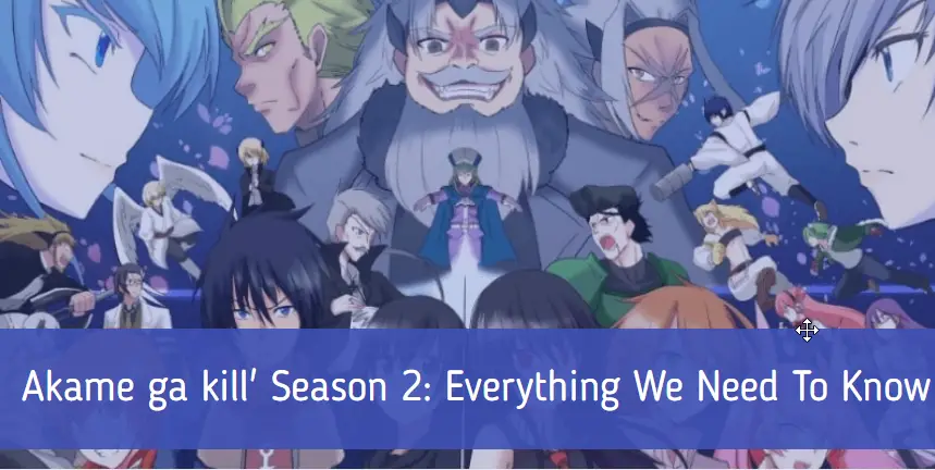 Akame ga kill' Season 2: Everything We Know So Far