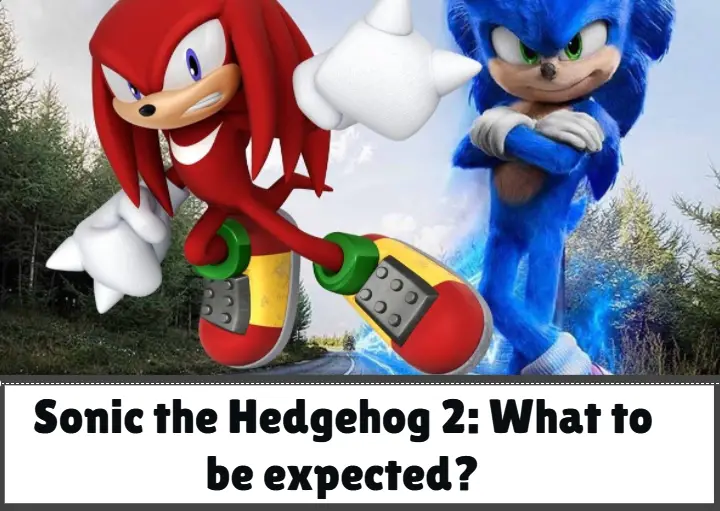 Sonic the Hedgehog 2: What to be expected? | Nilsen Report