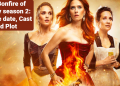 the bonfire of destiny