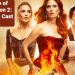 the bonfire of destiny