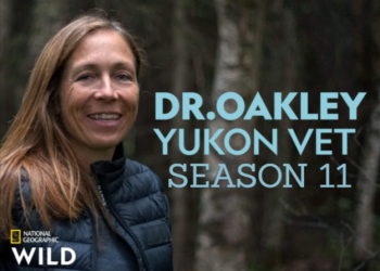 yukon