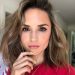 Rachael Leigh Cook in rescuing christmas