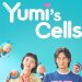 Yumi's Cells Season 3