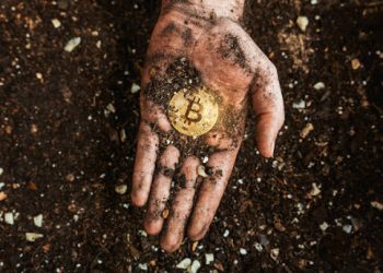 Future of Cryptocurrencies