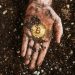 Future of Cryptocurrencies