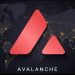 Investing in Avalanche