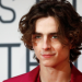 Timothée Chalamet to Play Young Bob Dylan in ‘A Complete Unknown’