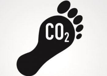 Crypto Carbon Footprint