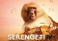 Serengeti Season 4