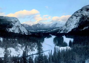 Navigating the Canadian Sweepstakes Landscape