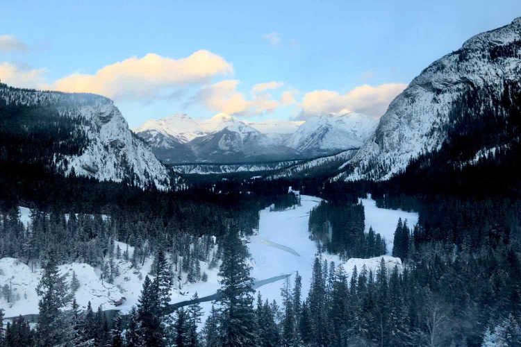 Navigating the Canadian Sweepstakes Landscape