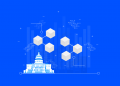 Blockchain in the Public Sector
