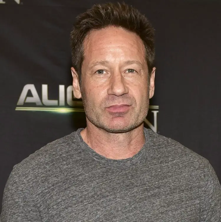 Movies and Series of David Duchovny in 2024 2025 Nilsen Report
