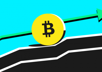 Elite Strategies in Bitcoin