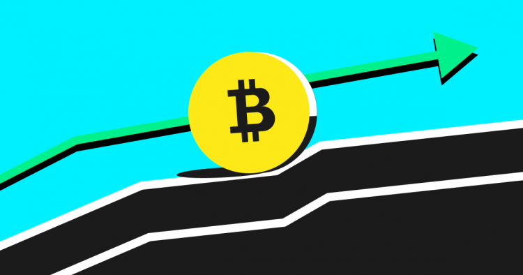 Elite Strategies in Bitcoin