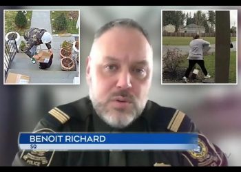 Canadian Police Caution Against Sharing Package Theft Videos