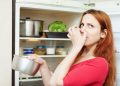 How to Shop Mindfully for a Fresh and Odor-Free Fridge