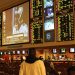 The Ultimate Guide to Sportsbooks in Canada for Game-Day Fun