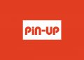 Pin-Up Casino VIP Player