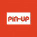 Pin-Up Casino VIP Player