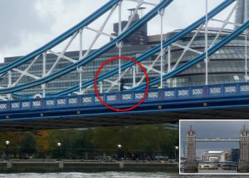 Tower Bridge Closed After Climber Incident,