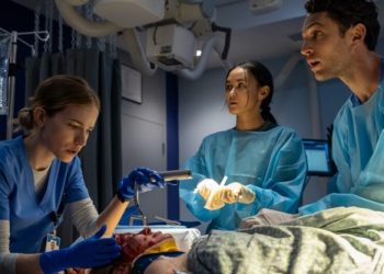 Pulse Season 2: Will Netflix Renew Its Medical Drama?