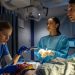 Pulse Season 2: Will Netflix Renew Its Medical Drama?