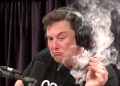 Elon Musk’s Unusual Behavior at Public Event Sparks Speculation