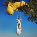 Doja Cat’s ‘Vie’ Tops US iTunes Chart on Release Day