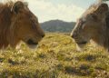 create a featured for te article titled as Disney is developing a new Lion King film. Are we finally getting part 2?